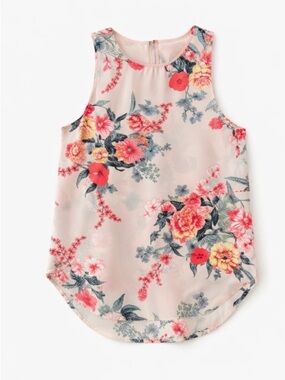 Rachel Roy Sleeveless Floral Blouse Size Small Sheer Beige Pink Back Zip Top